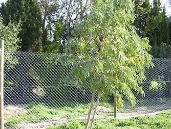 Mas Ramades Guest House L'Estartit 0*,  Spain